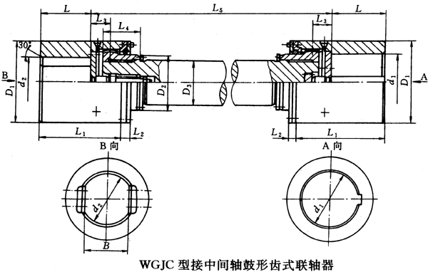 WGJ型接中間軸鼓形齒式聯軸器外形及安裝尺寸(JB/T8821-98)